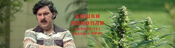 ешки Алексин