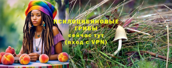 ешки Алексин