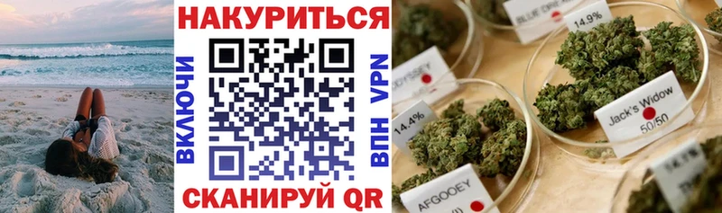 блэк спрут ссылки  сколько стоит  Зеленоградск  Конопля семена 